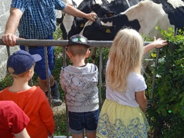 Kinder besuchen Kühe auf dem Bauernhof, Foto: KiTa Niederbergheim