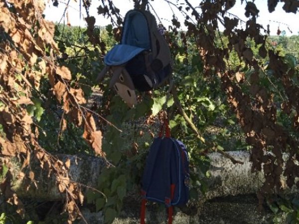 2 Kinderrucksäcke hängen an einem dicken Ast, Foto: KiTa Niederbergheim