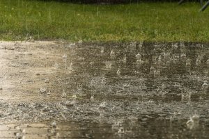 Es regnet auf Wiese und Straße