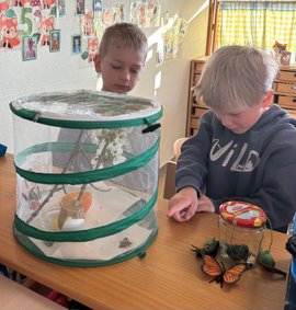 2 Kinder beobachten die Kokons in der Voliere