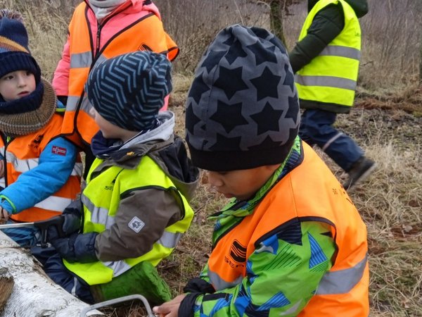 Kinder sägen mit einer Kinder-Säge an einem Baumstamm