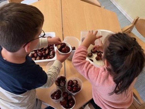 2 Kinder am Tisch füllen Kastanien in Becher um 