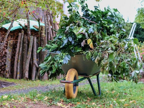 Eine mit Baum- und Strauchschnitt beladene Schubkarre in einem Garten