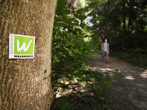Sauerland Waldroute Schild