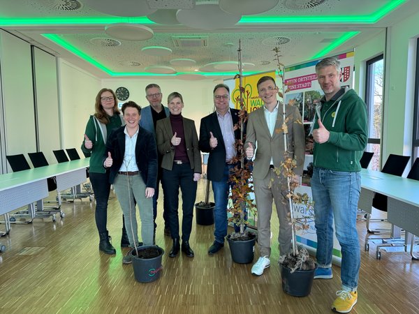 35.000 Bäume für die Wiederaufforstung im Warsteiner Stadtwald: 