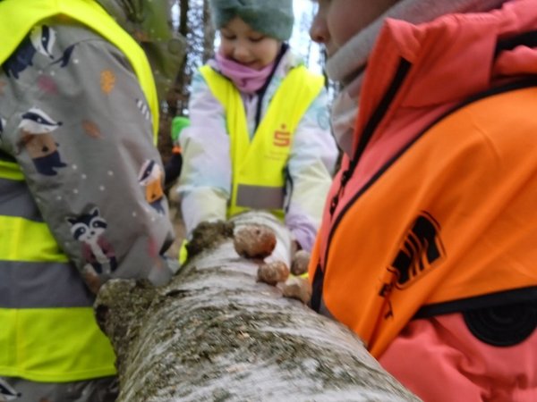 Drei Kinder heben einen Baumstamm an