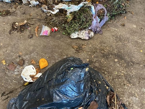 Fehlbefüllungen der Biotonne: