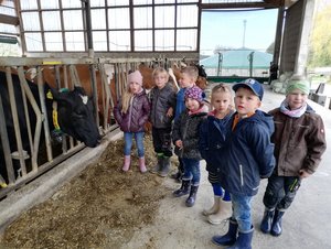 Kinder im Kuhstall vor einer schwarzen Kuh, Foto: KiTa Salzbörnchen