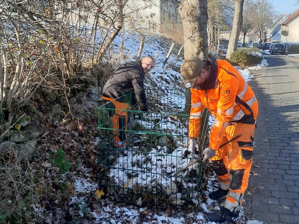 Laubboxen werden abgebaut: 