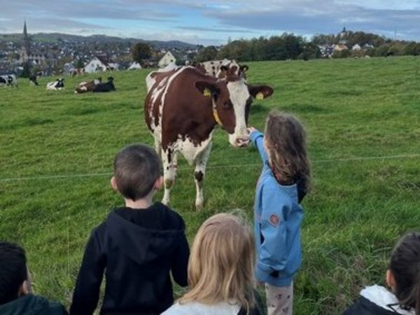 Kinder streicheln eine Kuh auf der Weide