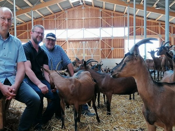 Wirtschaftsförderer, Landwirt und Bürgermeister sitzen mit Ziegen im Stall