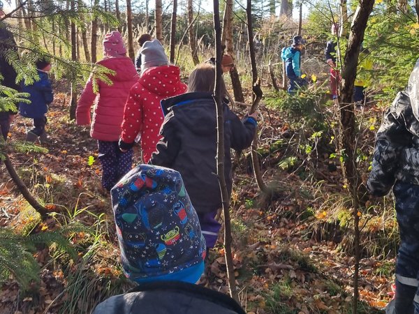 Kinder gehen durch den Wald, Foto: KiTa Niederbergheim