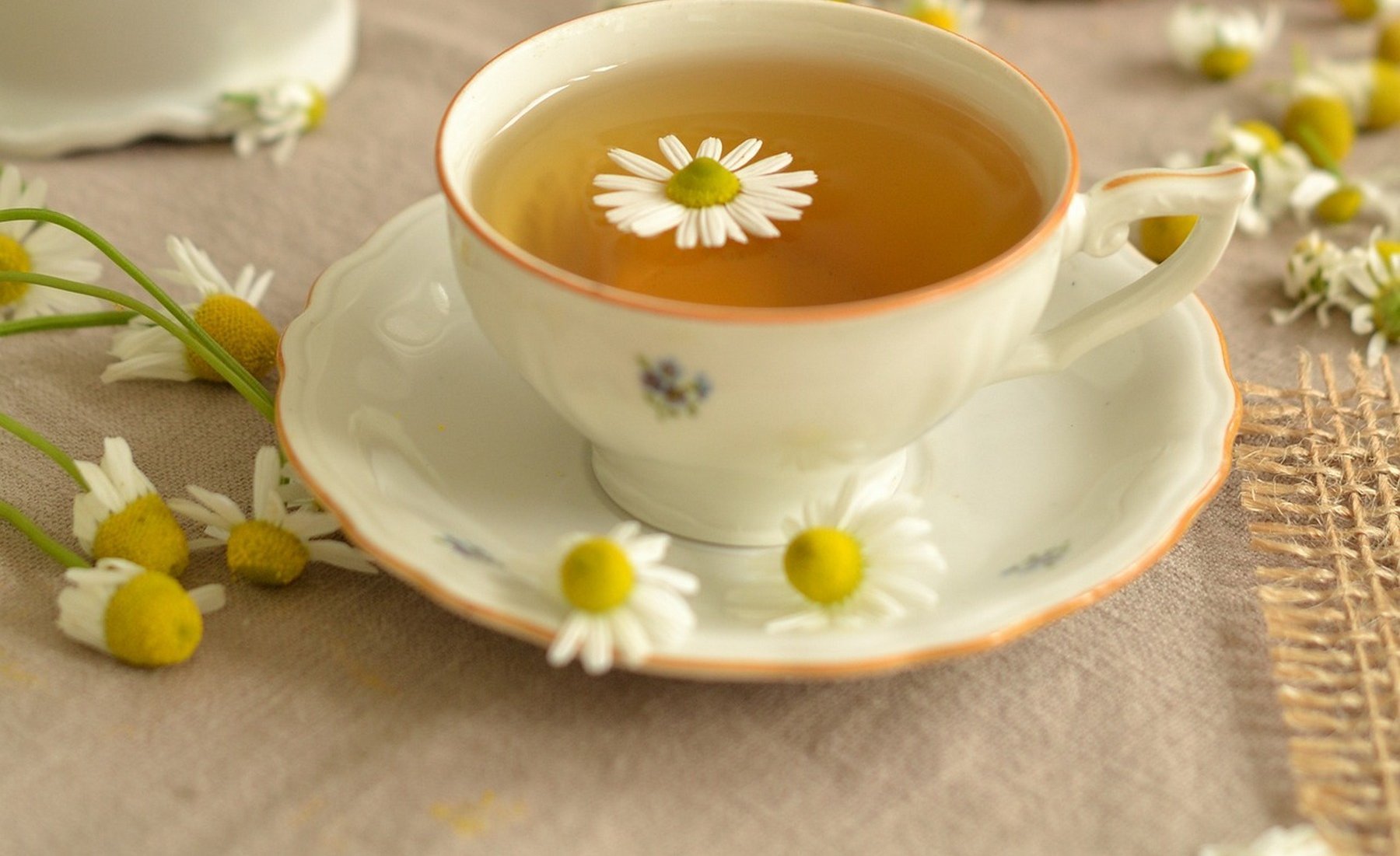 Teekanne und Teetasse mit Kamillenblüten, Foto: Pixabay