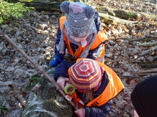 3 Kinder experimentieren mit einem Ast, Foto: KiTa Niederbergheim