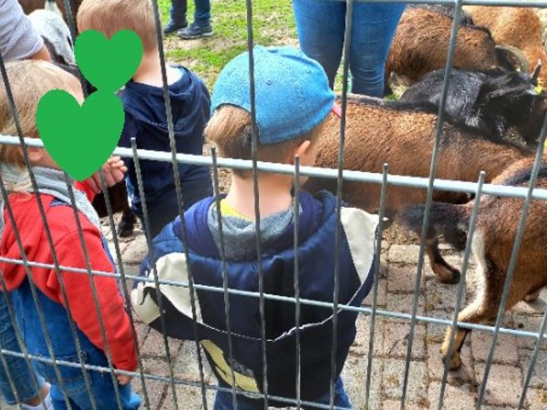 Kinder und Ziegen im Ziegengehege, Foto: KiTa Niederbergheim