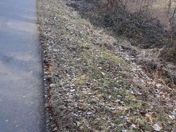 Absturzsicherung am Möhnetalradweg 