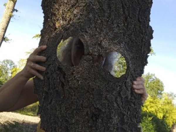 Ein Kind hält sich ein Stück Baumrinde als Maske vors Gesicht, Foto: KiTa Niederbergheim