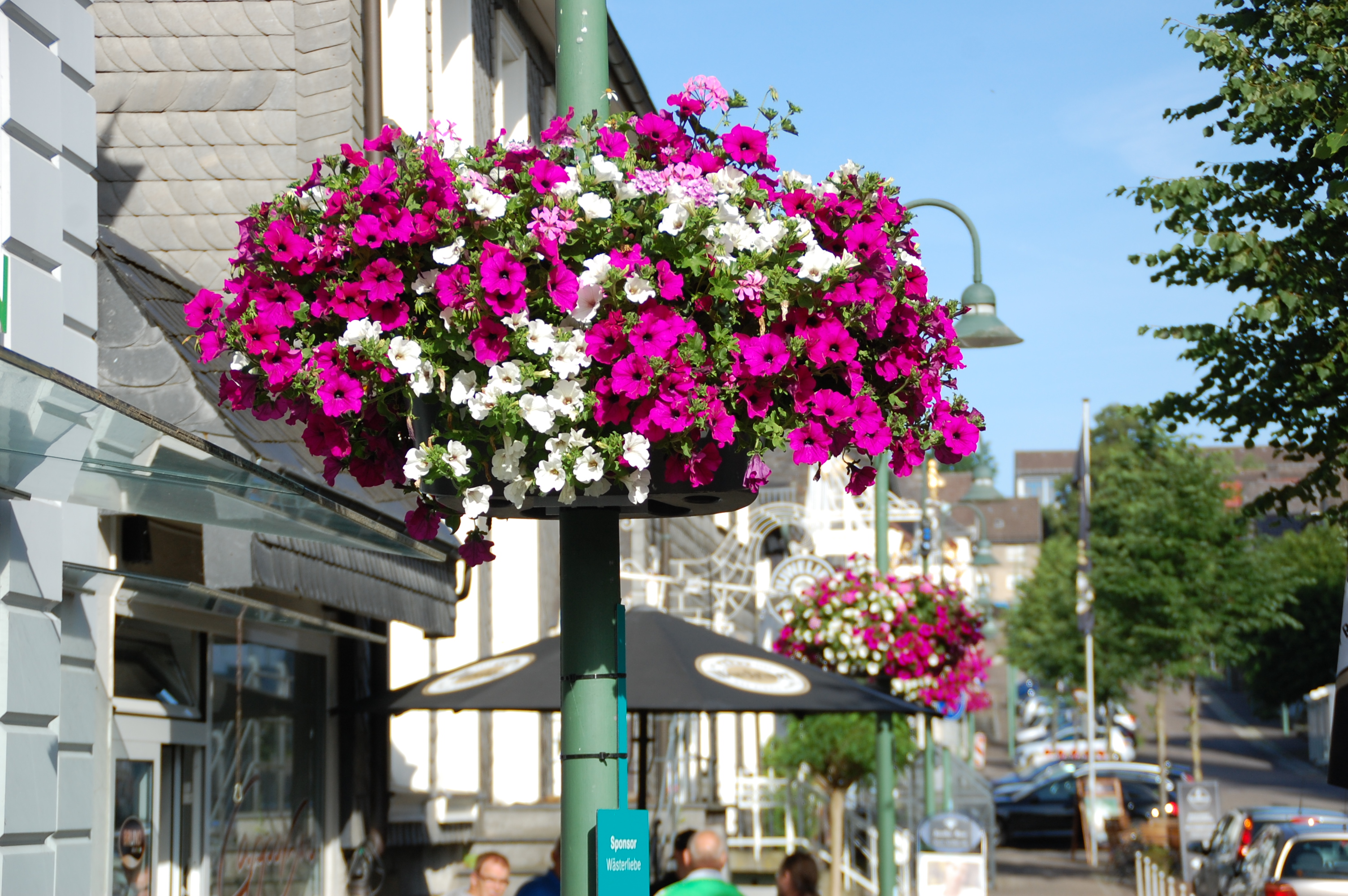 Blumenampel in der Stadt Warstein