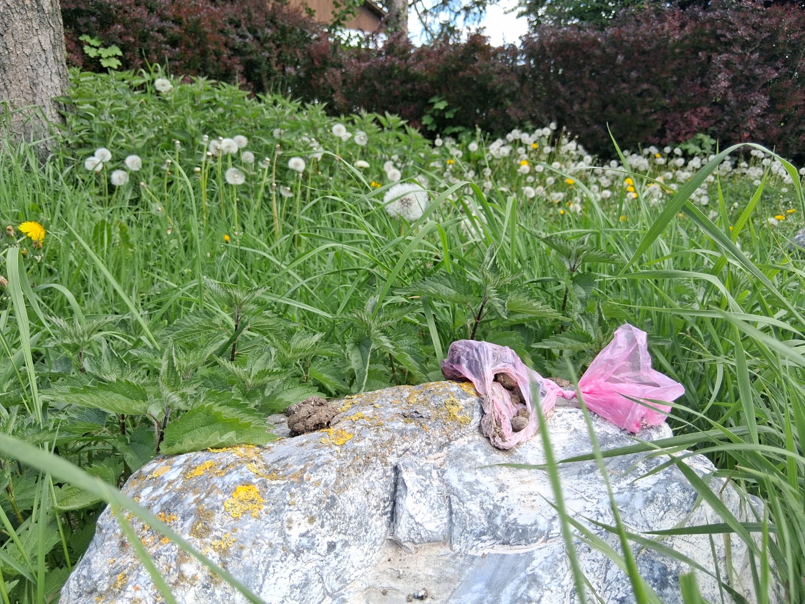 Ärgerlich und gefährlich zugleich: 