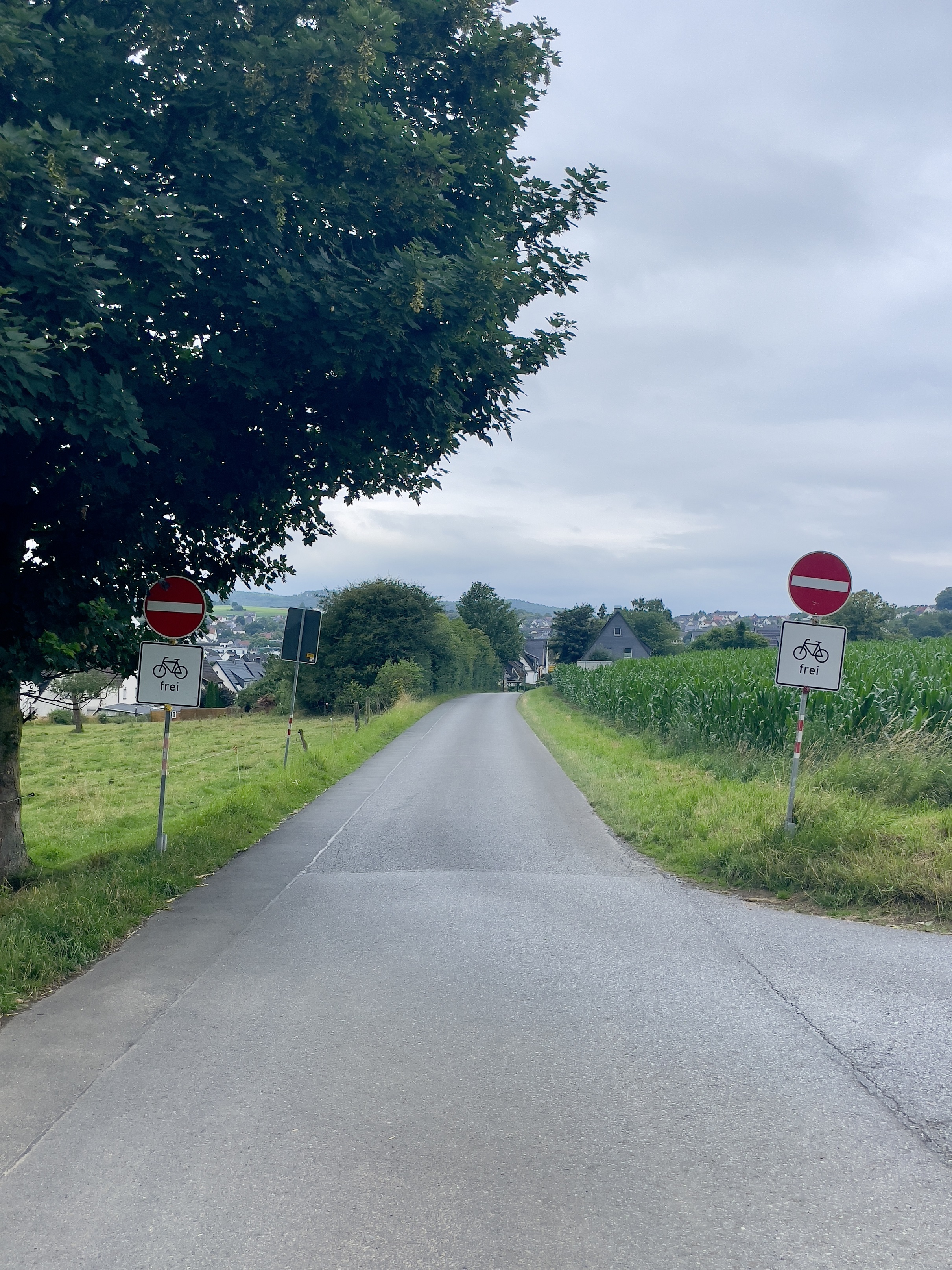 Nutzung des Weges Salzbörnchen als Umleitung ist nur in eine Richtung möglich: