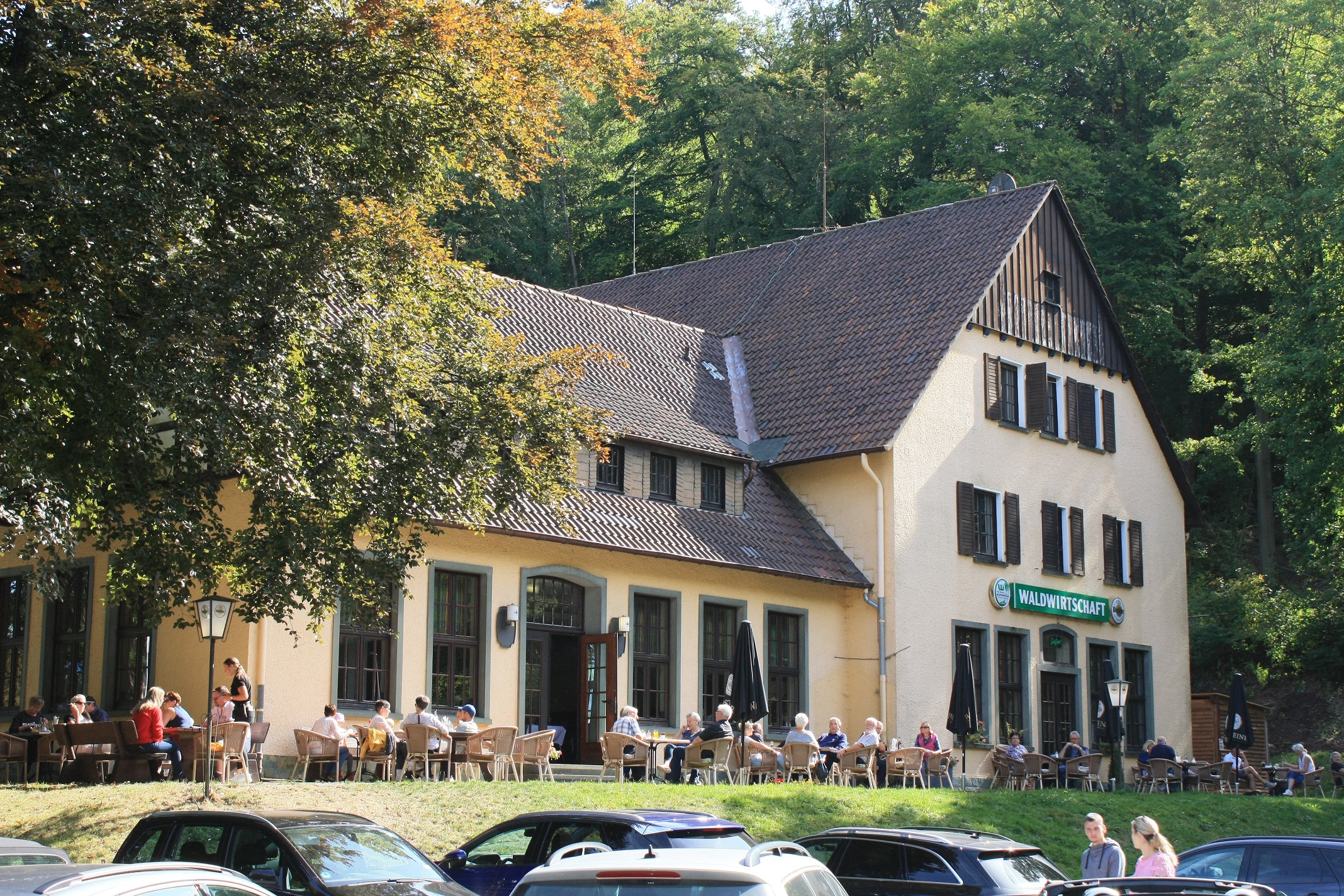 Aktion der FreiZeitFrauen am 15. Juli mit dem Motto „Naturerlebnis Wald“: