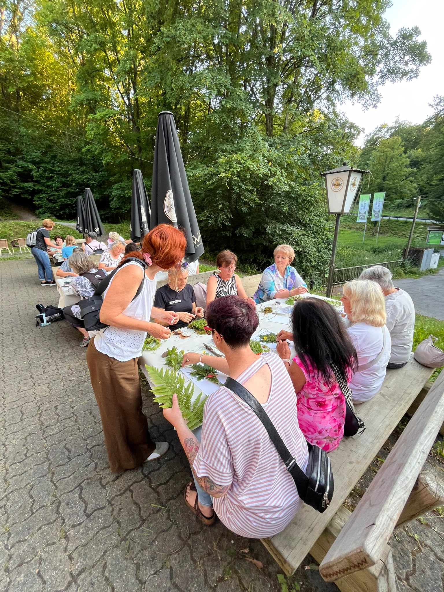 FreizeitFrauen "Naturerlebnis Wald" FreizeitFrauen "Naturerlebnis Wald"