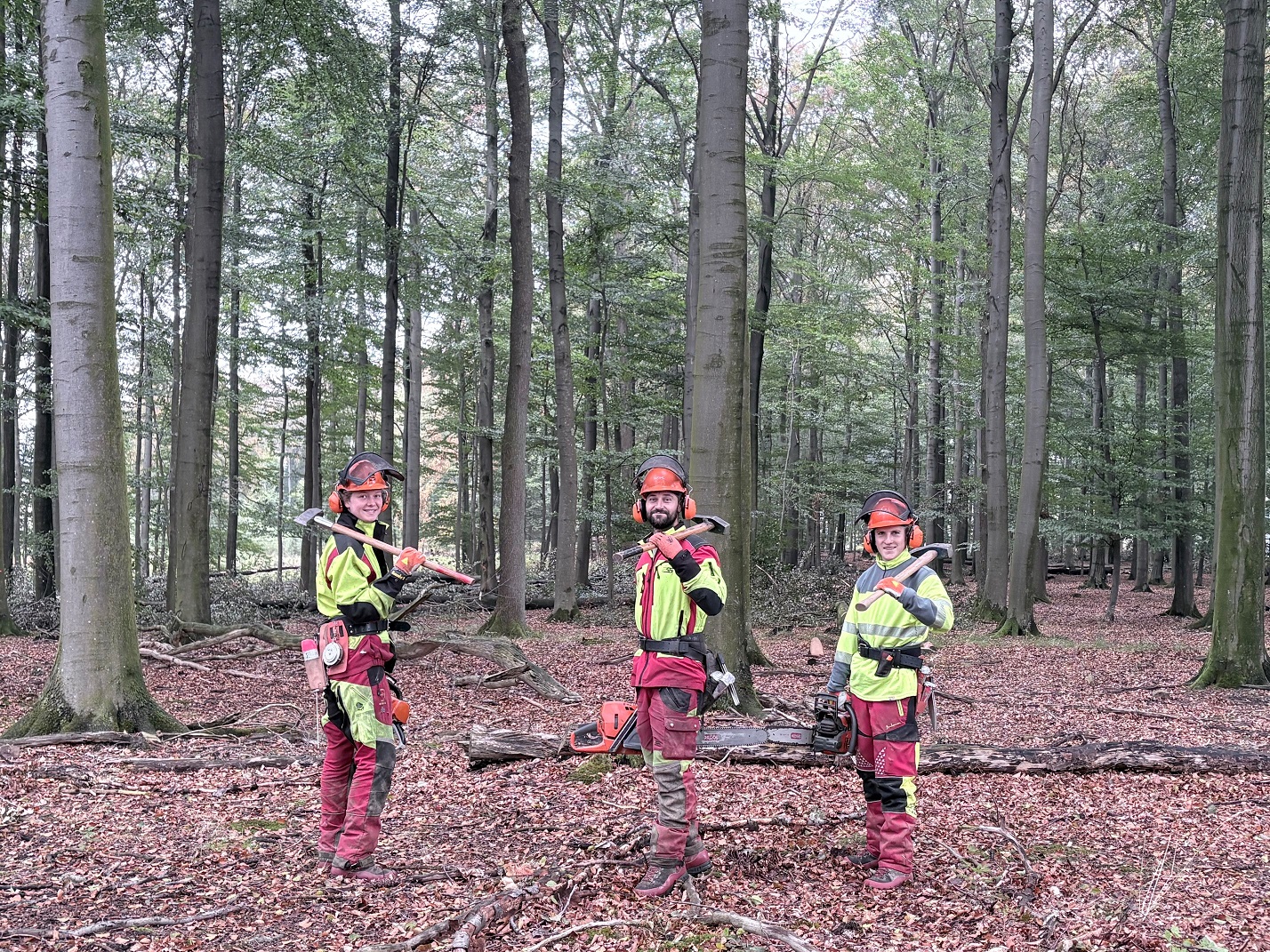 Ausbildung im Forst der Stadt Warstein: Ausbildung im Forst der Stadt Warstein: